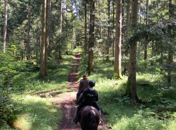 Trail Horseback riding Bertrimoutier - Restaurant belle vue col de sainte marie Tivio  - Photo