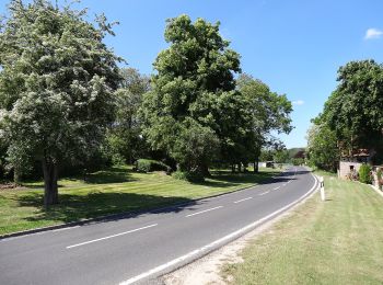 Tour Zu Fuß Nottertal-Heilinger Höhen - Rundweg Volkenrodaer Wald - Photo