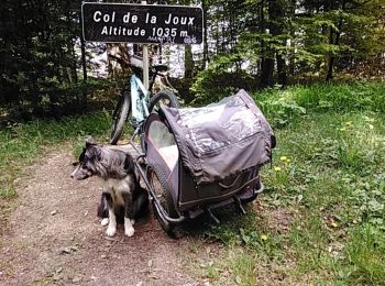 Tocht Mountainbike Bonlieu - Bonlieu Jura Col de joux 22.05.2023 - Photo