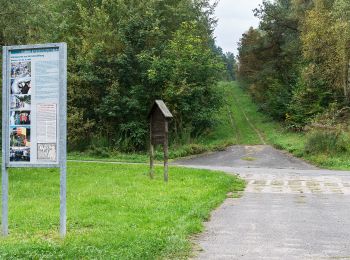 Randonnée A pied Beendorf - Lappwald Rundwanderweg 19 - Photo