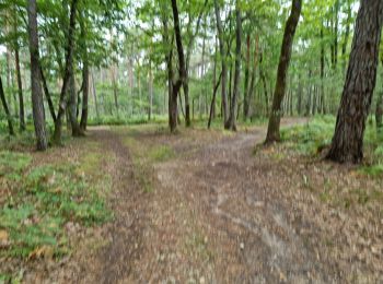 Tocht Stappen Vendôme - Vendôme Bois de l'Oratoire Circuit 1 - Photo