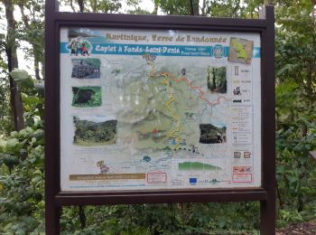 Trail Walking Le Morne-Vert - Montjoly - Les pitons du Carbet - Photo