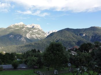 Tour Zu Fuß Domegge di Cadore - IT-264 - Photo