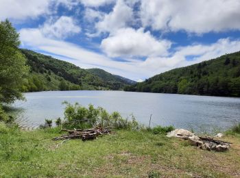 Trail Walking Le Saix - lac Peyssier - Photo