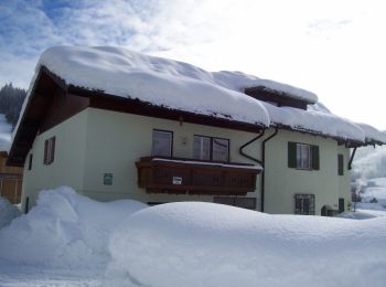 Tour Zu Fuß Rußbach am Paß Gschütt - Wanderweg Gamsfeld - Photo