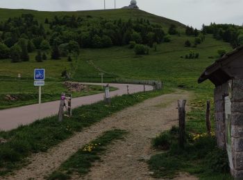Trail Mountain bike Guebwiller - Circuit V5 Florival 2022 - Photo