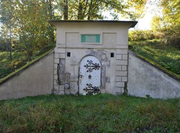 Randonnée A pied Weilrod - Um den Hardtküppel - Photo