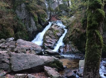 Trail Walking Le Tholy - Cascades du tendon. La boucle - Photo