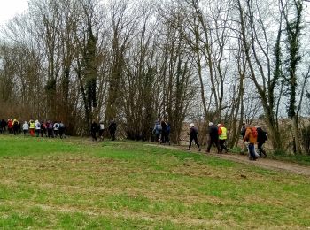 Trail Walking Castres - Castres du 02-04-2023 après midi  - Photo