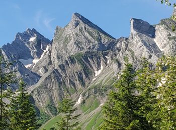 Percorso Marcia La Clusaz - aravis aiguille verte combe borderan 12kms  987m - Photo