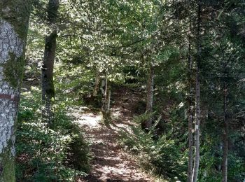 Trail Walking Pontarlier - GTJ jour 8 - Photo