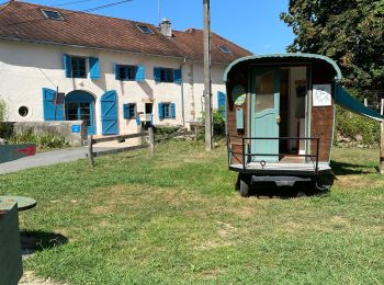 Tour Wandern Susmiou - GR 65 Navarrenx > Lichos - Photo