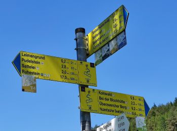 Percorso A piedi Baiersbronn - Satteleisteig - Photo