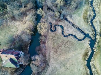 Randonnée A pied Manteler Forst - Steinfelsweg - Photo