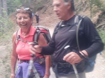 Trail Walking Estoublon - Trevans les gorges - Photo