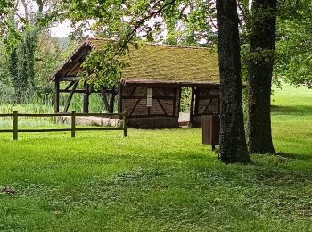 Excursión Senderismo Maraye-en-Othe - Balade aux Boulins - Photo