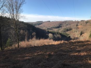 Tocht Paardrijden Fougerolles-Saint-Valbert - Sarcenot 1h avec dénivelé  - Photo