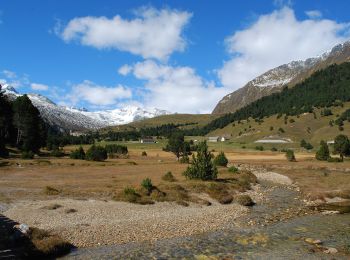 Percorso A piedi Blenio - Sentiero naturalistico Lucomagno 2 - Photo