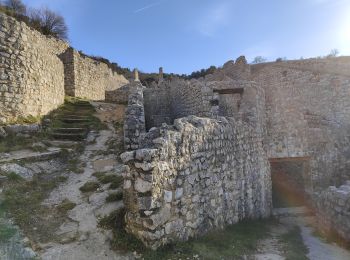 Tour Wandern Saint-Péray - Château de Crussol  - Photo