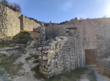 Excursión Senderismo Saint-Péray - Château de Crussol  - Photo