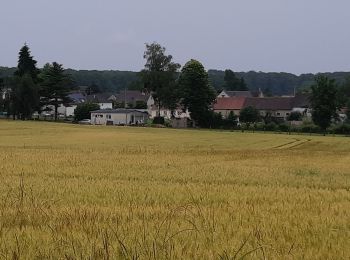 Tocht Stappen Saint-Sérotin - 210627 St. Sérotin Enfants sans cancer 12 km - Photo