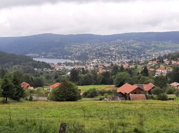 Tocht Stappen Le Syndicat - plaine cleurie - la mauselaine - Photo