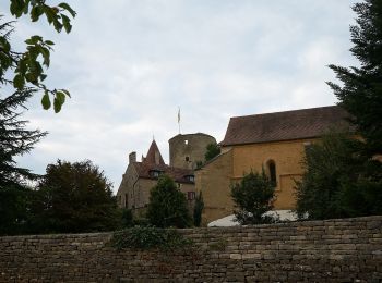 Randonnée A pied Montoillot - Boucle des Trois Châteaux - Photo