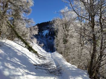 Tour Wandern Jarsy - Bauges 2021 : Jarzy - Vallée du Chérant (glacée) - Replat d'en Haut vers le mont Pécloz (-12-21).ori - Photo