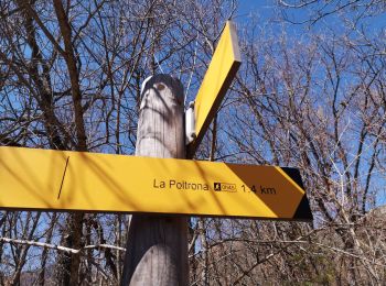 Randonnée Marche La Roche-des-Arnauds - Sentier de la Poltrona/Combe du Duc. - Photo