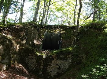 Trail Walking Bonac-Irazein - tunnels du Biros ou sentier Decauville - Photo