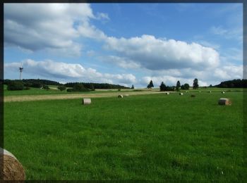 Tocht Te voet Neuenstein - Eisenberg-Siegelweg - Photo