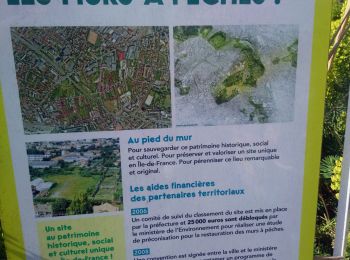 Trail Walking Montreuil - Montreuil patcs - Photo