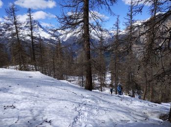 Excursión Raquetas de nieve Puy-Saint-Vincent - les têtes 18 03 2021 - Photo