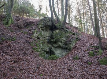 Tour Zu Fuß Etzelwang - Rundwanderweg 2 Rupprechtstein - Kirchenreinbach - Photo