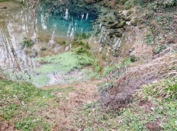 Tour Wandern Chartrier-Ferrière - chartrier - Photo