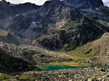 Randonnée A pied Valtournenche - Alta Via n. 1 della Valle d'Aosta - Tappa 10 - Photo