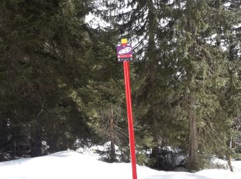 Trail Snowshoes Allevard - Collet d Allevard - arête de l évêque  - Prarion - Photo
