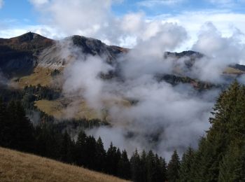 Tour Wandern Megève - rochebrune - Photo