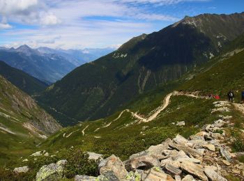 Tocht Te voet Trient - Sentier des Alpages - Photo