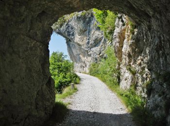 Excursión A pie Tremosine sul Garda - Le Acque, Bocca di Fobbia - Photo