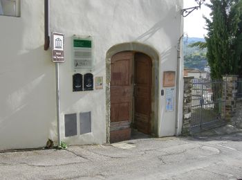 Percorso A piedi Greve in Chianti - IT-G8 - Photo