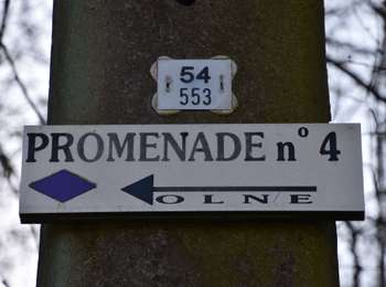 Trail Walking Olne - 20210302 - Olne 7.4 Km - Photo