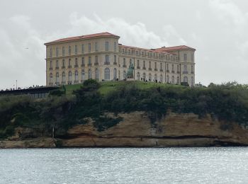 Excursión Senderismo Marsella - Marseille Saint-Laurent Noailles  - Photo