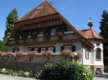 Percorso A piedi Haslach im Kinzigtal - Haslach - Landwassereck - Photo