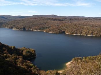 Tour Wandern Moirans-en-Montagne - Le Regardoir - Photo