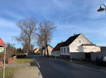 Tour Zu Fuß Nuthe-Urstromtal - Wald- und Wiesenweg - Photo