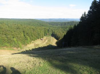 Trail On foot Bad Sachsa - Wanderweg blaues Dreieck - Photo
