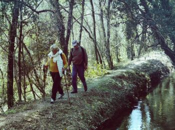 Trail Walking Le Thoronet - le thoronet_pont d'argent_canal ste croix - Photo