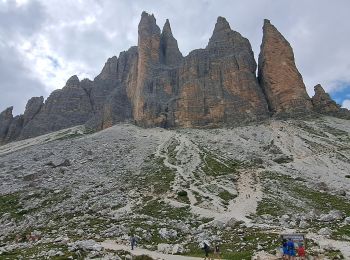 Tocht Stappen Sexten - Sesto - DOLOMITES 06BIS - Rifugio LAVAREDO 2344m - Photo