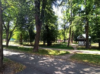 Excursión A pie Prudnik - Szlak Lasów Królewskiego Miasta Prudnika - Photo
